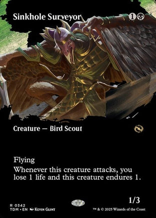 342-sinkholesurveyor