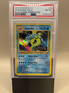 PSA 8 Near Mint/Mint -Gyarados - Holo #34 Pokémon Evolutions Pre-release Stamped, Graded