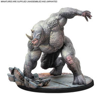Rhino