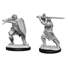 D&D Nolzur's Marvelous Miniatures: Human Paladin Male