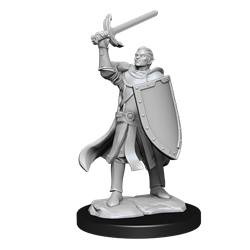 Dungeons & Dragons Nolzur’s Marvelous Miniatures: Half Elf Paladin